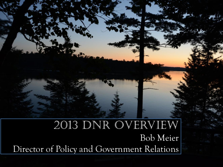 2013 dnr overview