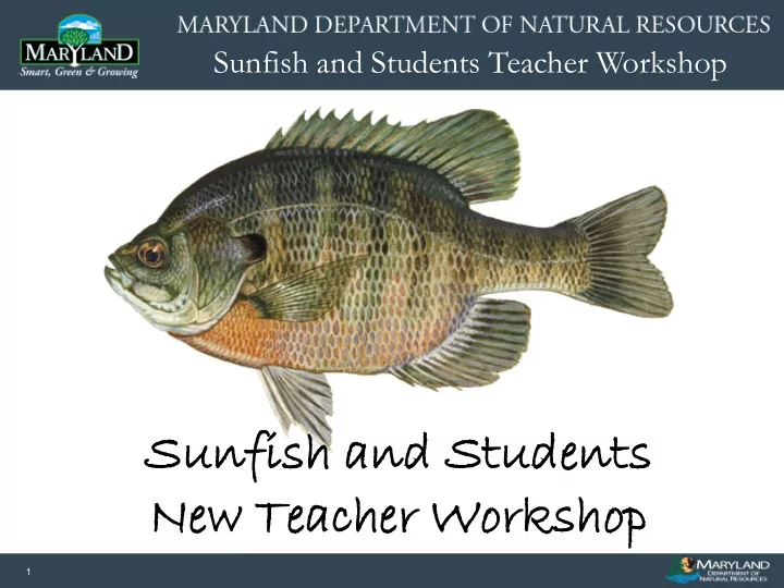sunf sunfish and and stud students new teac acher worksh