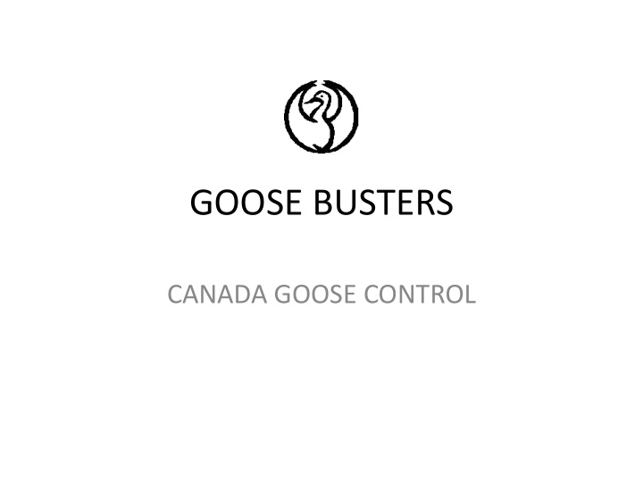 goose busters