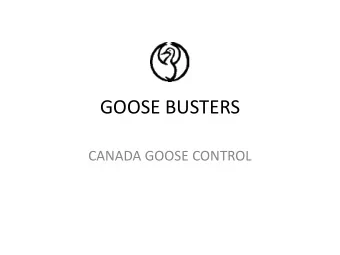 GOOSE BUSTERS  CANADA GOOSE CONTROL  GOOSE BUSTERS  1997 Started Business  Goose removal only