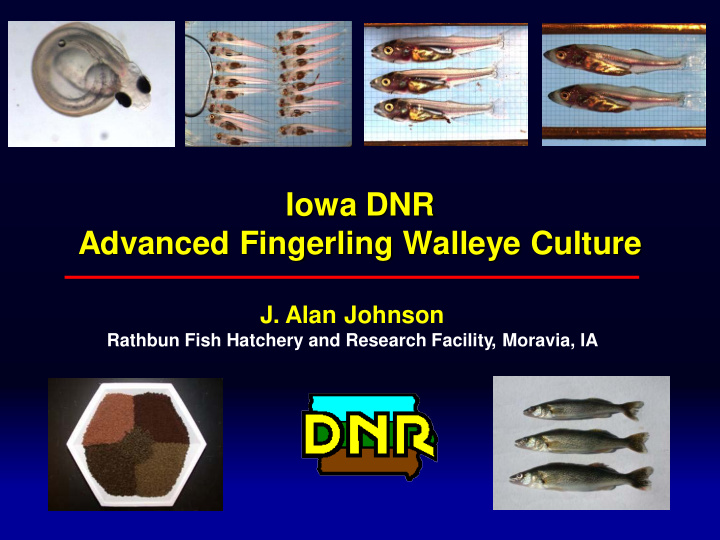 iowa dnr advanced fingerling walleye culture