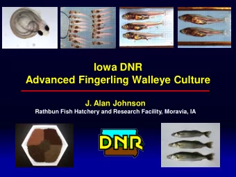 Iowa DNR Advanced Fingerling Walleye Culture  J. Alan Johnson  Rathbun Fish Hatchery and Research