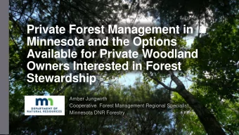 Private Forest Management in  Minnesota and the Options  Available for Private Woodland  Owners
