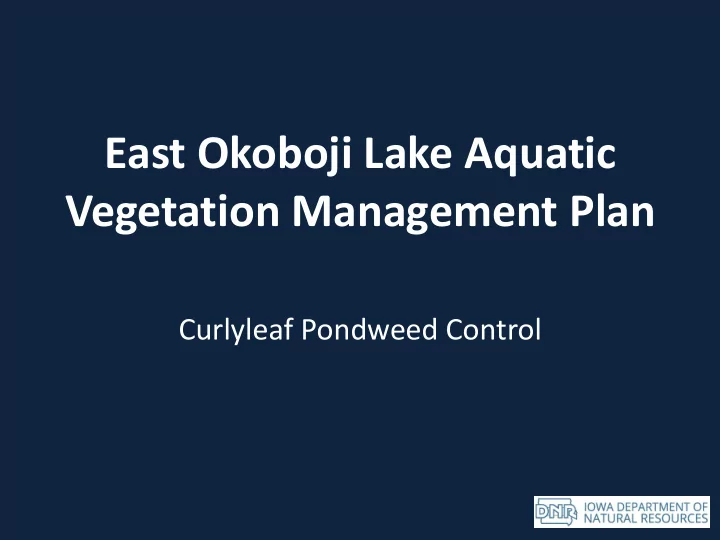 vegetation management plan