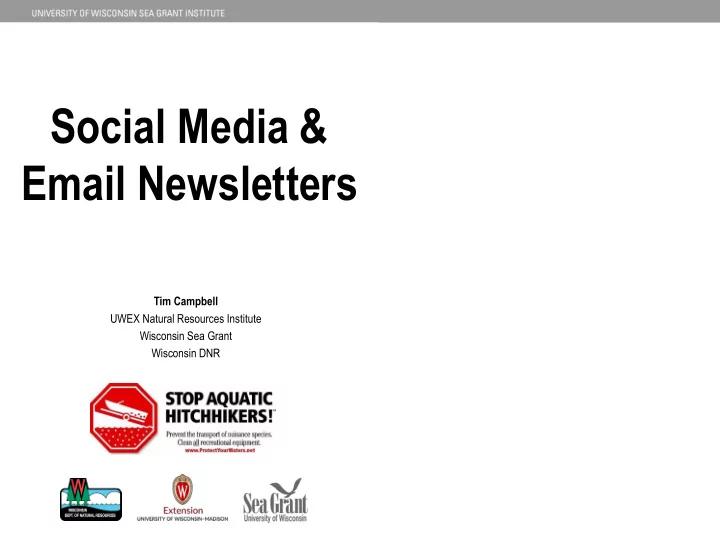 email newsletters