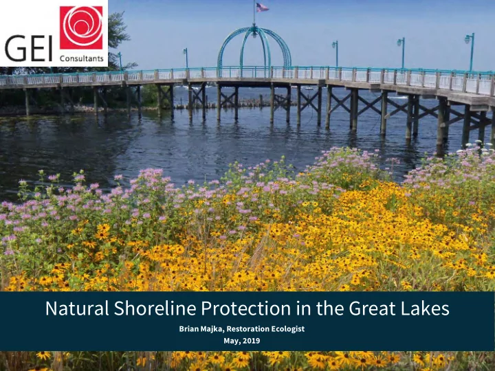 natural shoreline protection in the great lakes