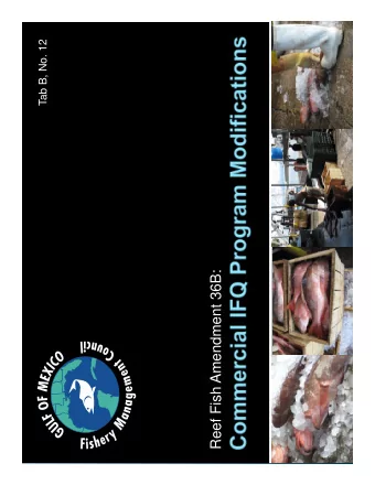 Reef Fish Amendment 36B:  Items under consideration:  Program Eligibility Requirements