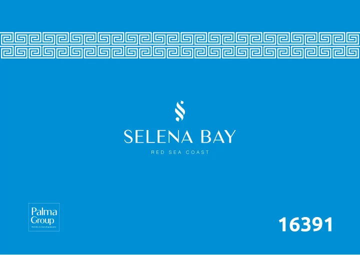 16391 about palma group