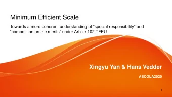 Minimum Efficient Scale Towards a more coherent understanding of  special responsibility  and