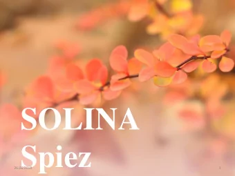 SOLINA  Spiez  26.06.2018  1  Introduction  Kaspar Zlch  26.06.2018  2  SOLINA  114 years of