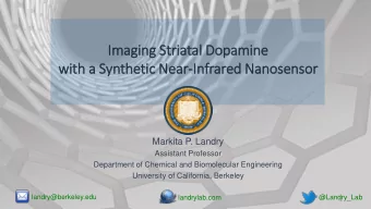 Im  Imaging Striatal Dopamine  wit  ith a Synthetic Near-In  Infrared Nanosensor  Markita P. Landry