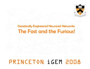 Th  F  Th  F  The Fast and the Furious!  The Fast and the Furious!  t  t  d th  F  d th  F  i  i  !