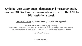 means of 3D-PixelFlux measurements in fetuses of the 17th to  20th gestational week Thomas