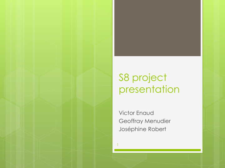 s8 project presentation