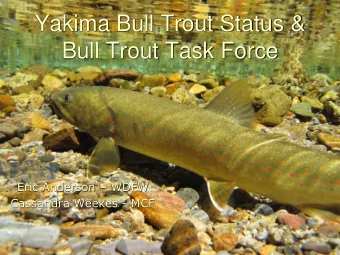 Bull Trout Task Force Eric Anderson  WDFW  Cassandra Weekes - MCF  Geographic Recovery Unit Area