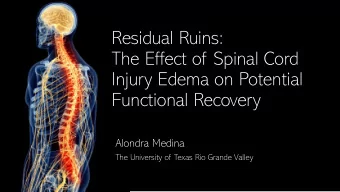 The Effect of Spinal Cord  Injury Edema on Potential  Functional Recovery  Alondra Medina  The