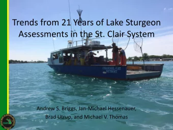 Trends from 21 Years of Lake Sturgeon  Assessments in the St. Clair System  Andrew S. Briggs,