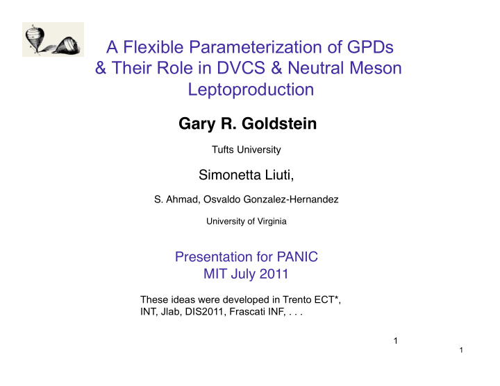 a flexible parameterization of gpds their role in dvcs