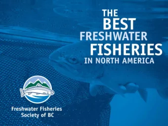 FFSBC Sustainable Energy  Managem ent Program  Our Plan to Achieve a 4 0 %  Reduction in Electrical