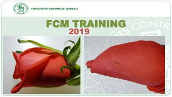 2019  2019  2  My name: Kees van der Vijver  Regional phytosanitary specialist Amsterdam