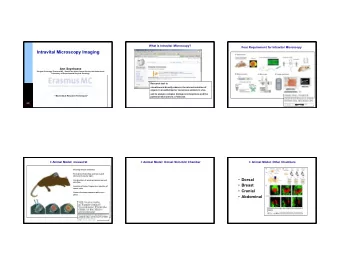1  II: Probes: Light microscopy  I: Animal Model: Other Implantations  II: Probes: Light Microscopy