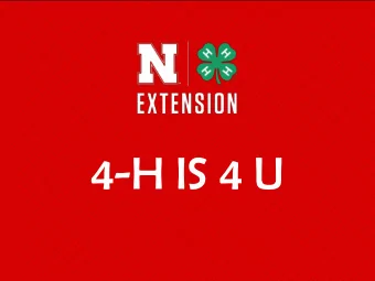 4-H IS 4 U  4-H is a community of youth  across America learning leadership,  citizenship, and life