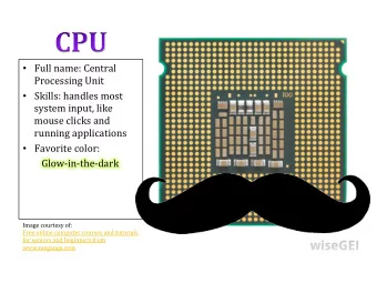 Full  name:  Central    Processing  Unit    Skills:  handles  most