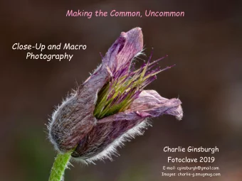Making the Common, Uncommon  Close-Up and Macro  Photography  Charlie Ginsburgh  Fotoclave 2019