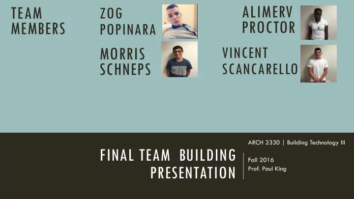 alimerv team