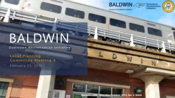 BALDWIN  D o w n t o w n  R e v i t a l i z a t i o n  I n i t i a t i v e  Local Planni ng