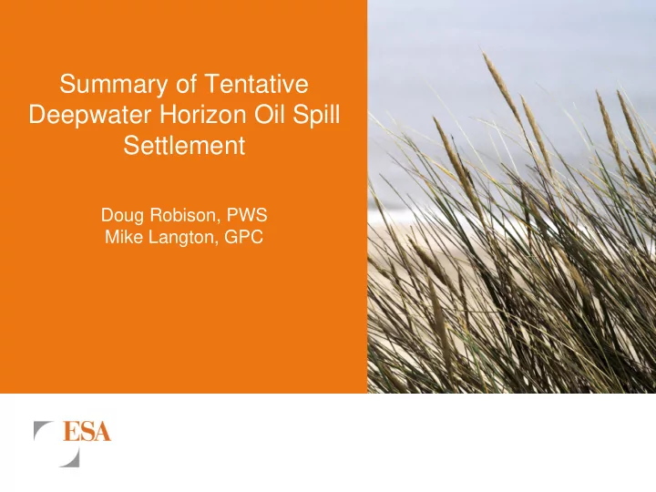 summary of tentative deepwater horizon oil spill