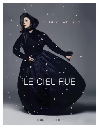 LE CIEL RUE  TOXIQUE TROTTOIR  THE SHOW (IN A FEW WORDS)  When Poetry and Clown Arts Meet