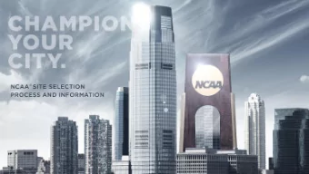 DISCUSSION TOPICS  The Opportunity  The Strategy  The Bids  The Timeline  THE