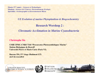Research Worshop 2 :  Chromatic Acclimation in Marine Cyanobacteria  Christophe Six  UMR UPMC-CNRS