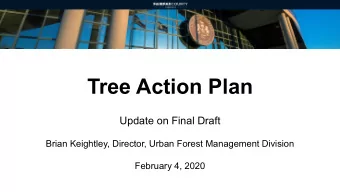 Tree Action Plan  Update on Final Draft  Brian Keightley, Director, Urban Forest Management