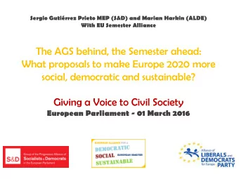 What proposals to make Europe 2020 more  social, democratic and sustainable?  Giving a Voice to