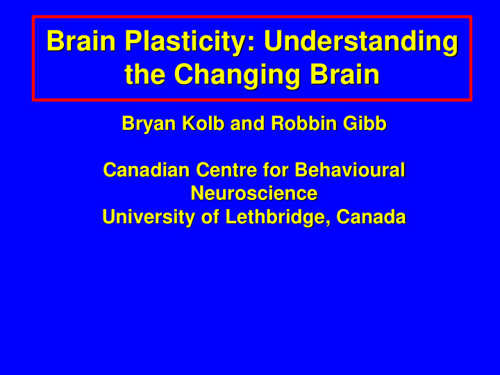 brain plasticity understanding
