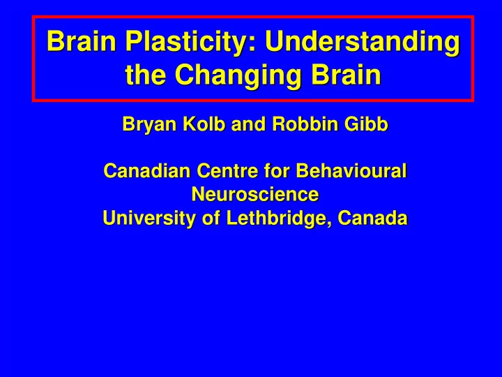 brain plasticity understanding