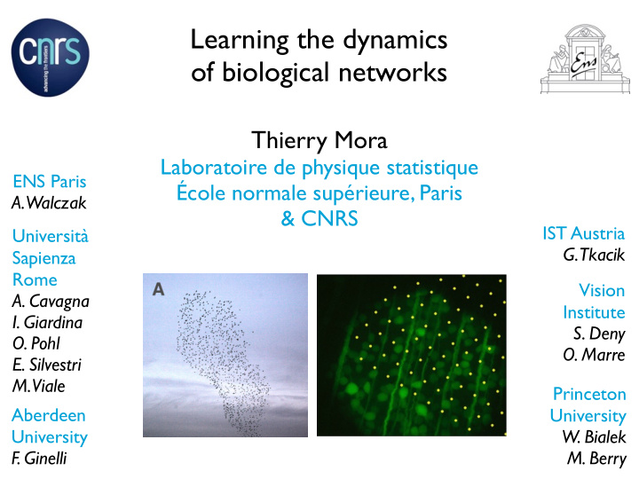learning the dynamics of biological networks
