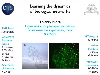 Learning the dynamics   of biological networks  Thierry Mora  Laboratoire de physique