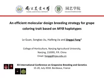 An efficient molecular design breeding strategy for grape coloring trait based on MYB haplotypes Le