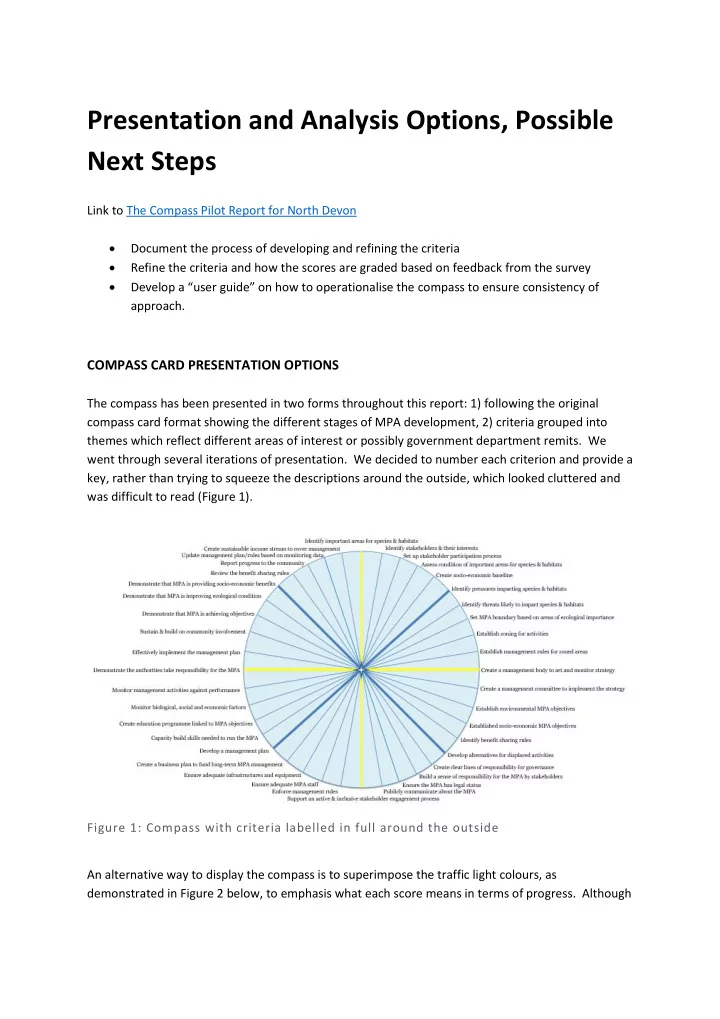 presentation and analysis options possible next steps