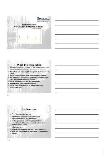 What Is Echolocation  The analysis by an animal of the echoes of its own emitted sound waves