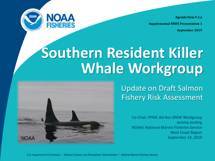 southern resident killer whale workgroup