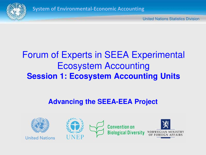 forum of experts in seea experimental ecosystem accounting