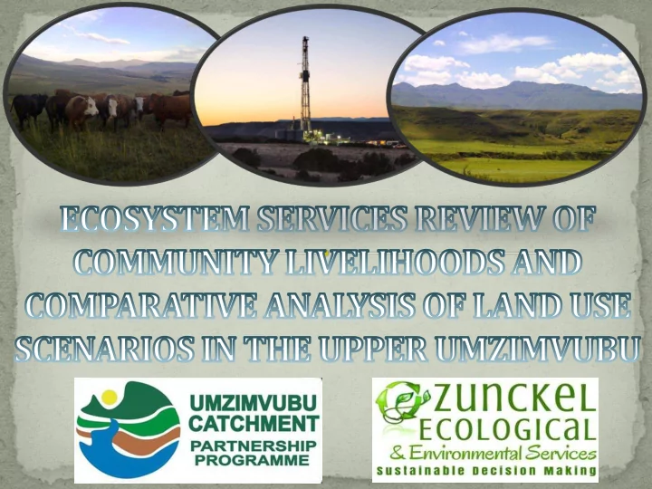 ecosystem goods and services 101