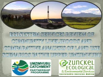 Ecosystem goods and services 101  The EGS review and comparative analysis method