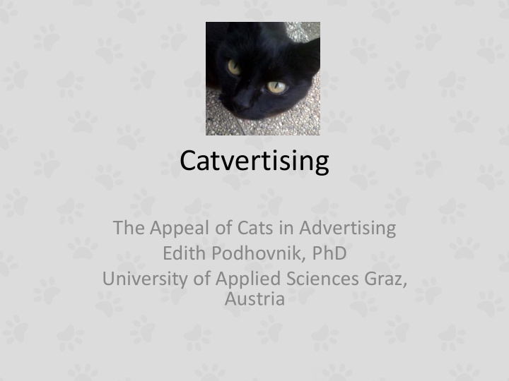 catvertising