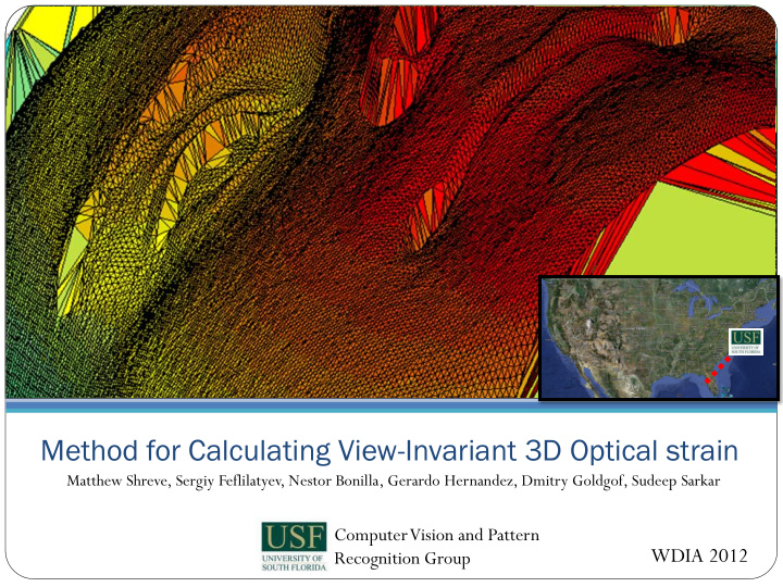 method for calculating view invariant 3d optical strain