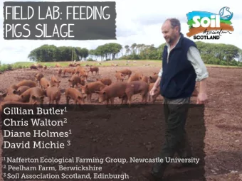 aims        Silage  Feeding pigs silage      Soyabean meal  Feeding pigs silage